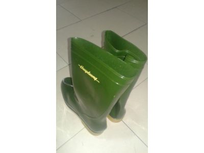 Ủng rêu Thùy Dương 284